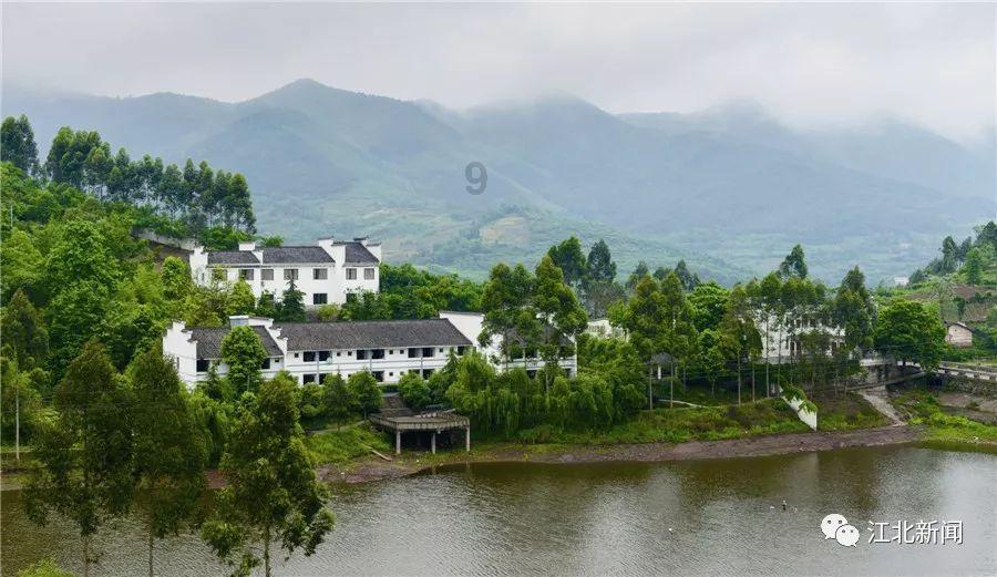 深度分析浙江输广州,两队进攻效率都很高,浙江队输在防守和高度